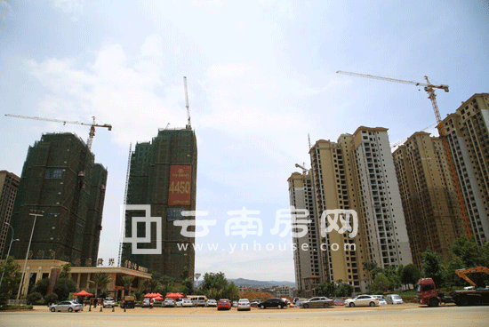 �A�w����ʢ���猍���D