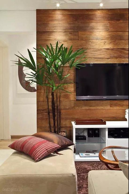 �����b����Ҫ����Ȼ�������(chu��ng)��ԭľ�O(sh��)Ӌ(j��)������(l��i)