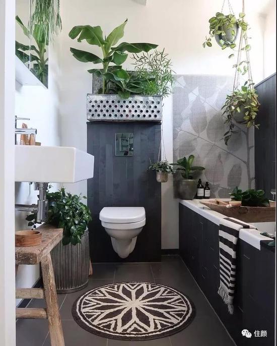 �[ɳ�l(f��)��䁵�̺����ľ�ذ� �l(w��i)���g߀�����@ô�b