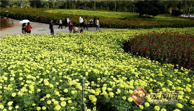 ������ȪС�(zh��n)�������B(t��i)����������