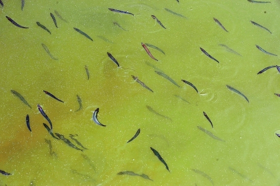 �˹��B(y��ng)ֳ�����~