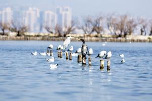 ��������Ա��o(h��)͹�@�����������@�ӵġ��Gɫ�����ǐ���ѽ