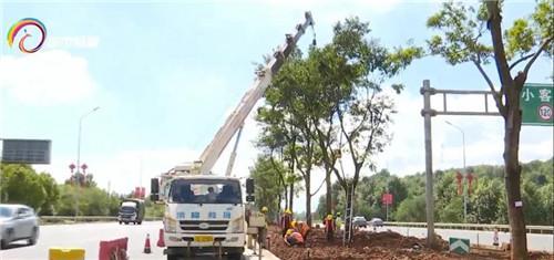 �����w�C�M���@���C���������Q������@Щ���c�e�e�^