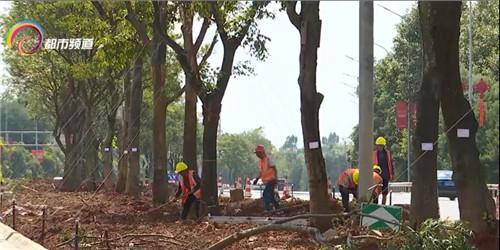 �����w�C�M���@���C���������Q������@Щ���c�e�e�^