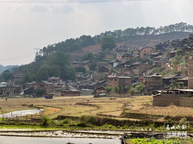 ��(l��i)��ɽ�V���^(gu��)�������������w�(y��n)���z�����l(xi��ng)����H�Ρ�