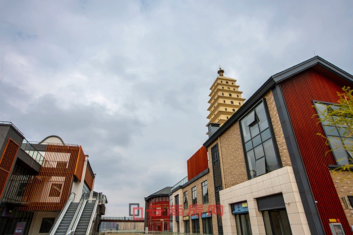 ɽ����8̖���׈D